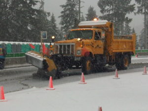 Snow on Cypress Snow on Cypress